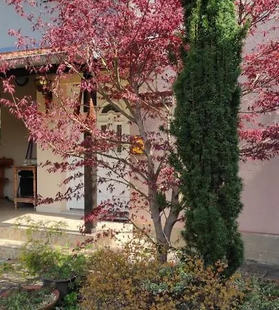 Apartment Duplex Mihajlovic-vrnjacka Banja *